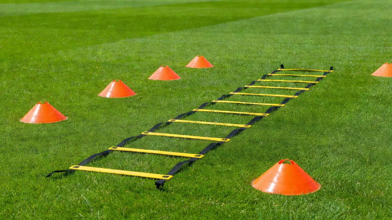 Bright orange training cones and an agility ladder on vivid grass